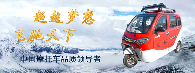 �ӱ��綯���ֳ���